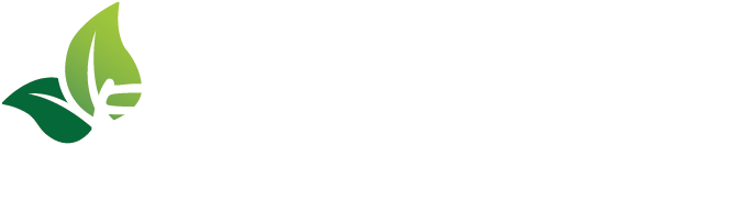 Home - Enliven Hair Care
